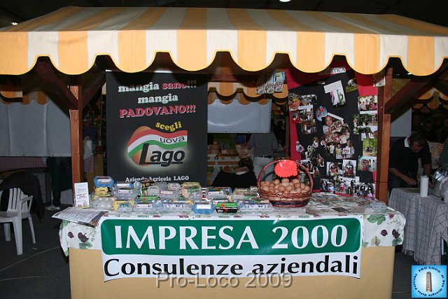 Expò-2009 (210).JPG